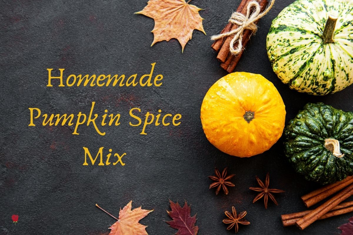 Homemade Pumpkin Spice Mix - Jillians World