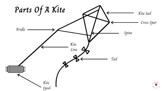 Kite Science For Kids